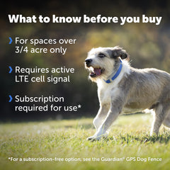 PetSafe Guardian GPS collar illustrating virtual boundaries for flexible fencing