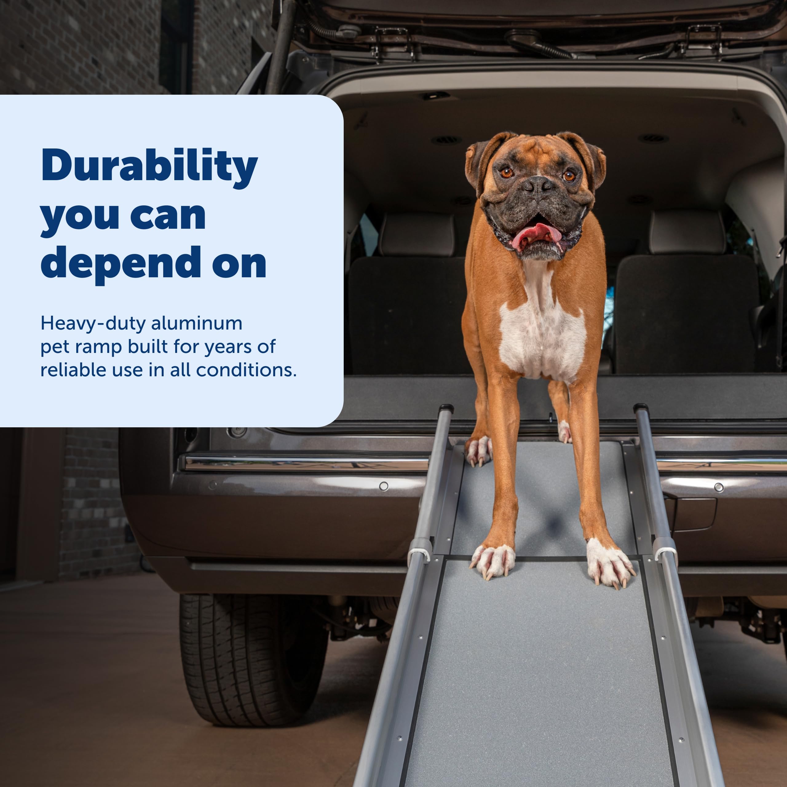 PetSafe Happy Ride Ramp in vehicle use highlights easy on the go setup