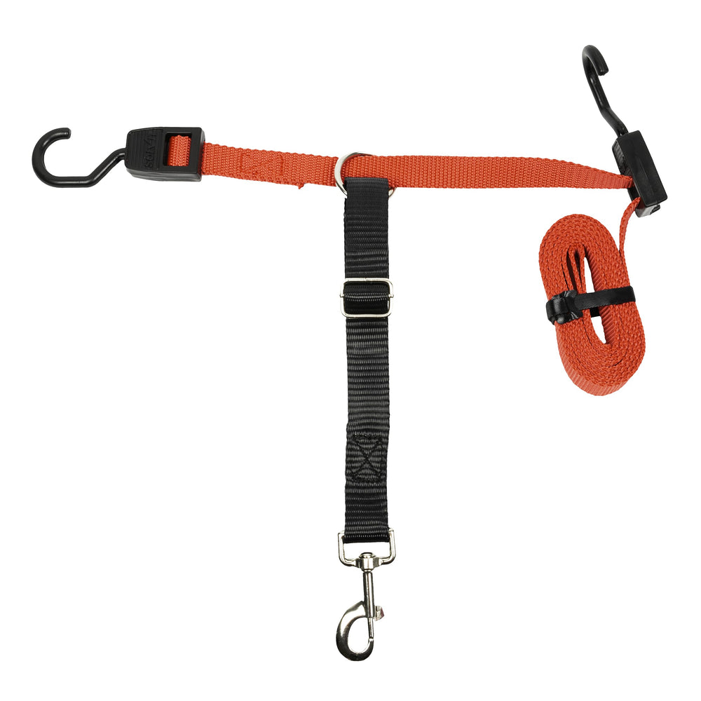 PetSafe Happy Ride Zipline backseat strap secures your dog on car rides.