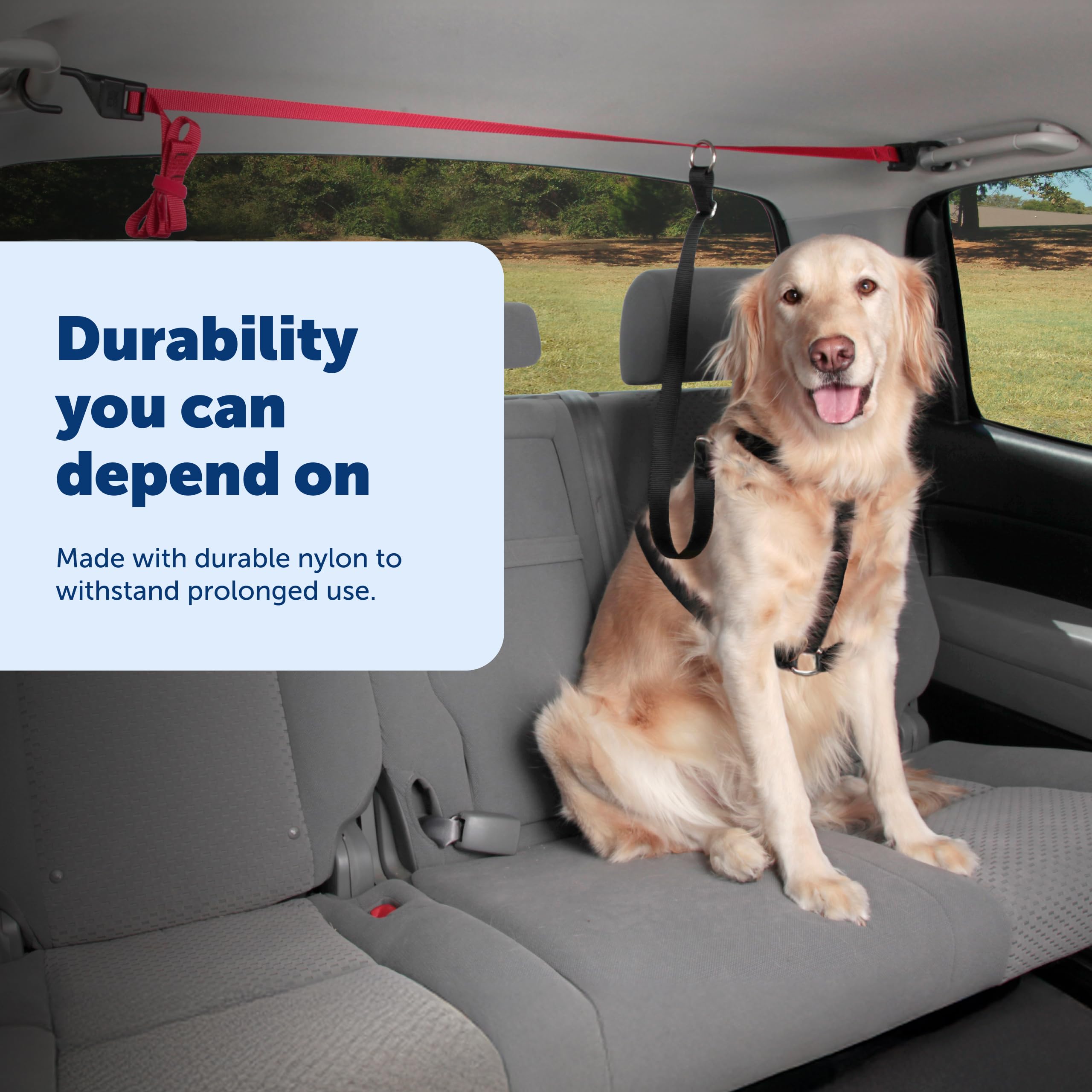 PetSafe Happy Ride Zipline reduces driver distraction during trips.