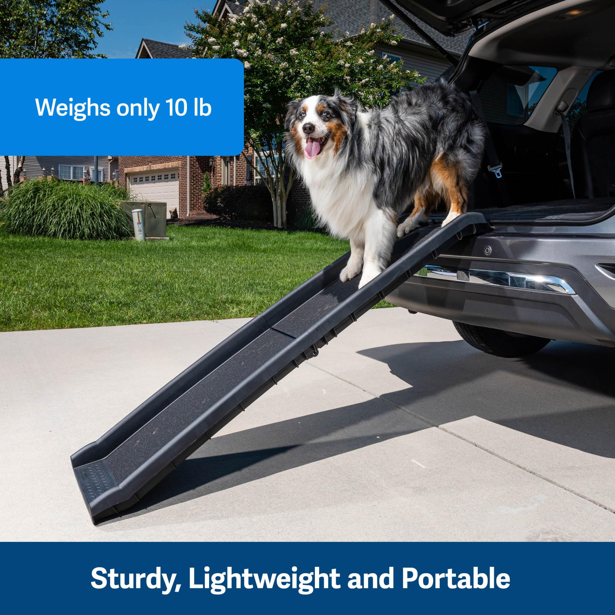 PetSafe Happy Ride folded ramp with safety latch for storage