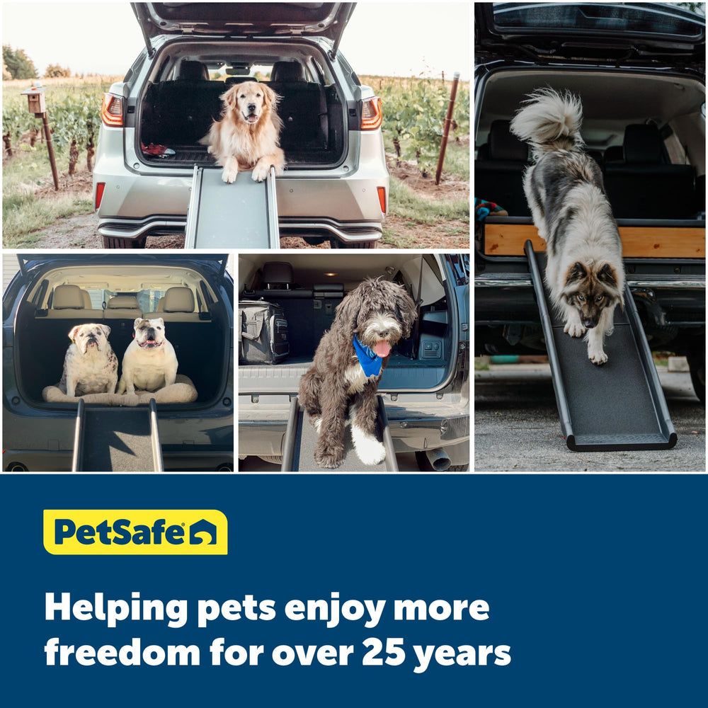 PetSafe Happy Ride Side Door Steps built-in handle for easy carrying.