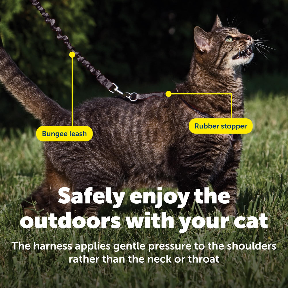 Petsafe harness durable material and secure fastenings for everyday outdoor use
