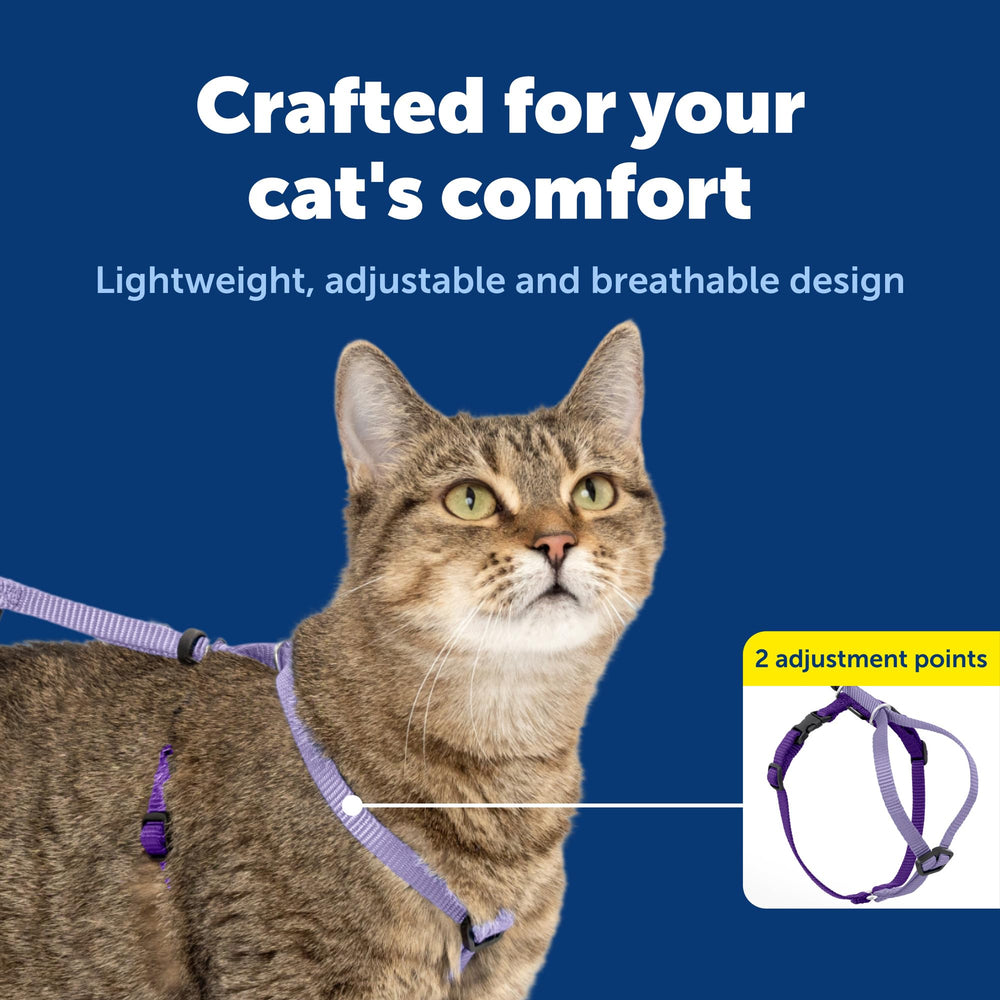 PetSafe Harness provides shoulder-friendly control without neck pressure