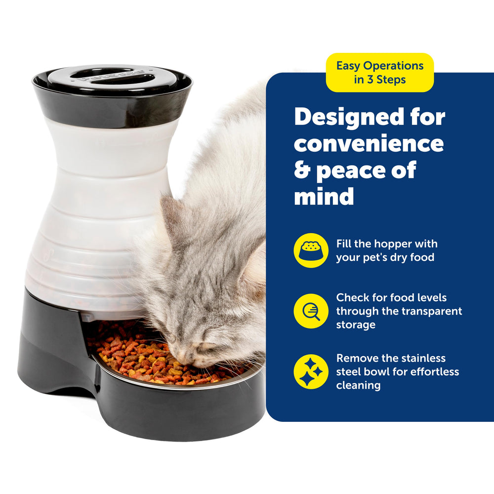 PetSafe dishwasher-safe bowl ready for quick cleanup after meals.