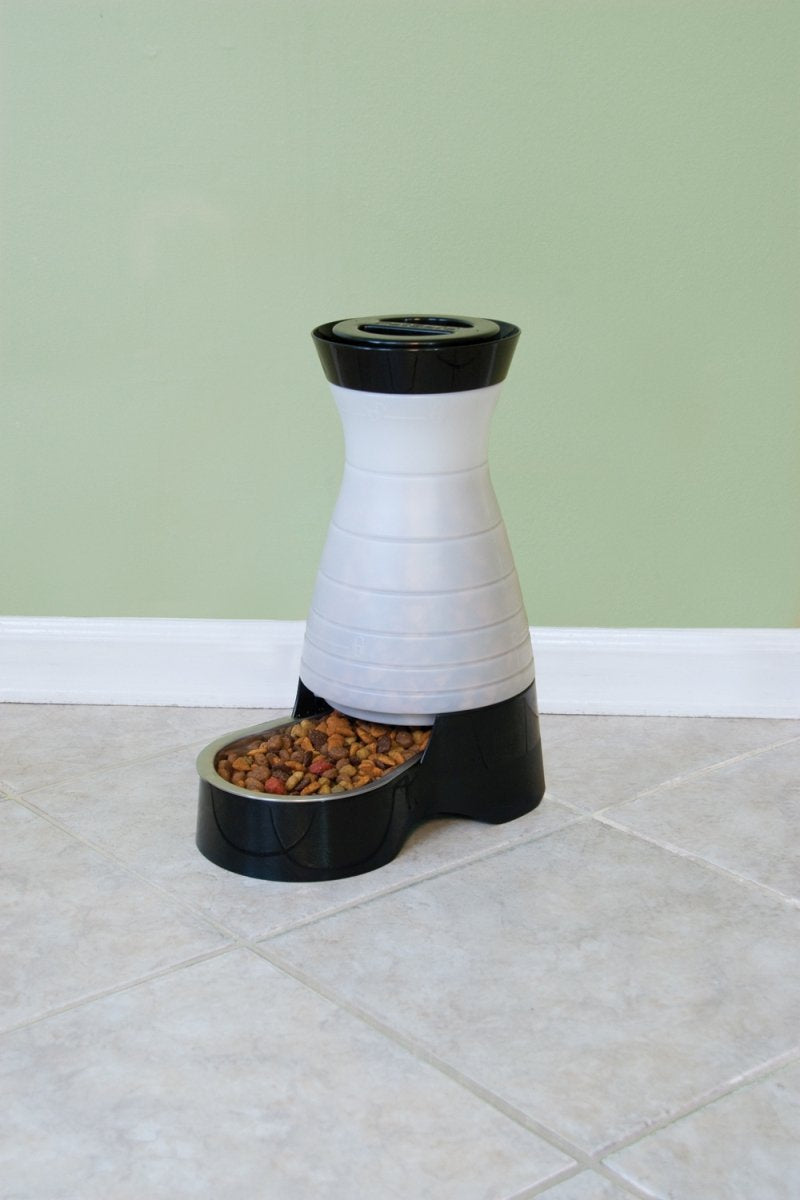 PetSafe hopper close-up showing sealed lid and clean kibble storage.
