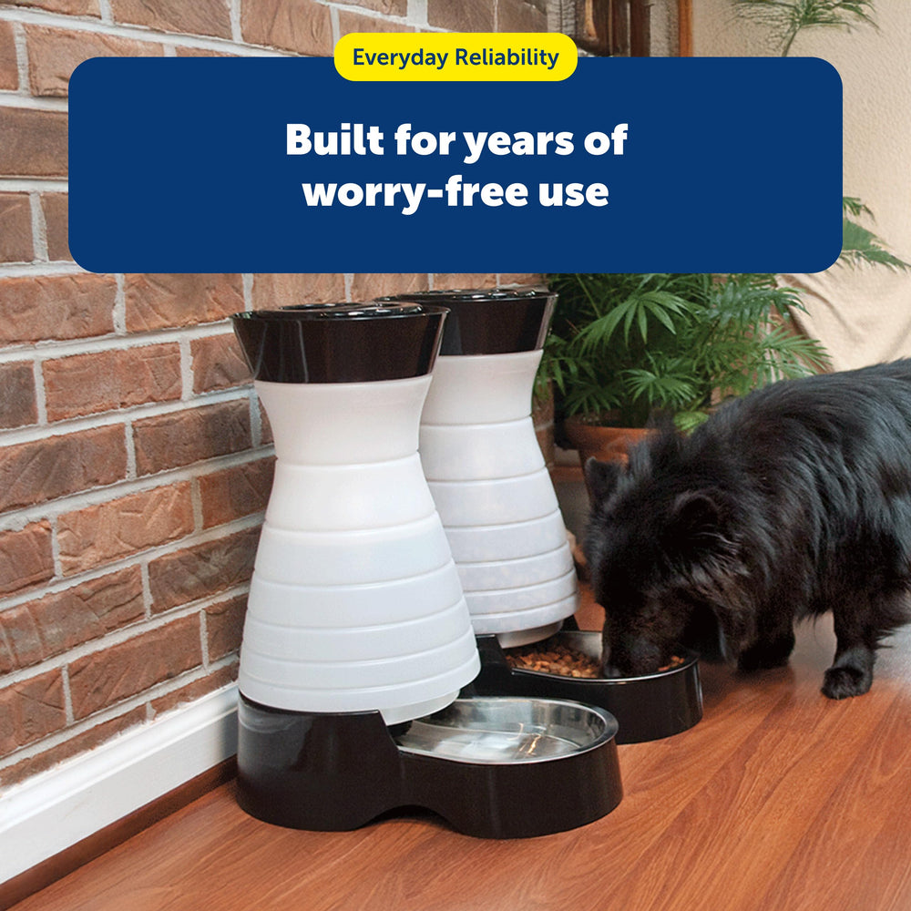 PetSafe Healthy Pet Food Station on kitchen counter near bowls.