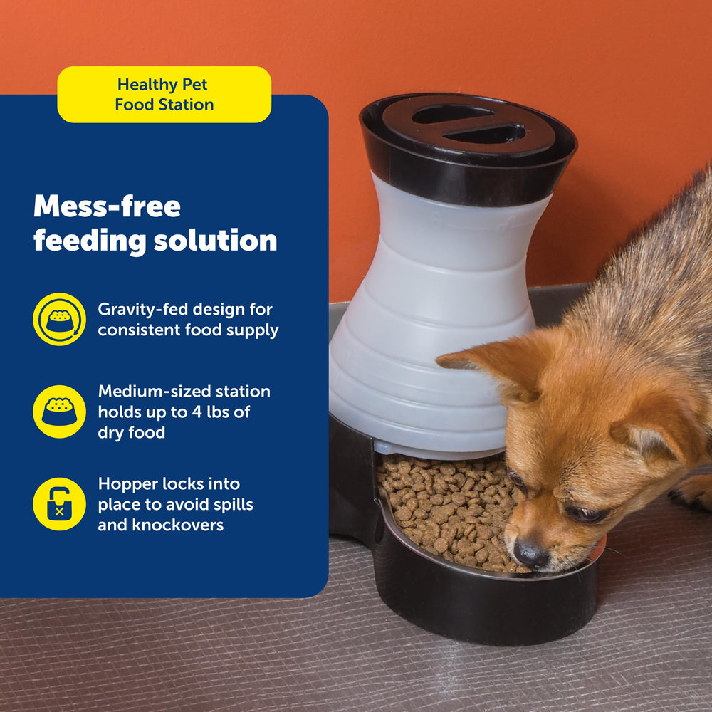 PetSafe removable stainless steel bowl, easy cleaning and dishwasher safe.