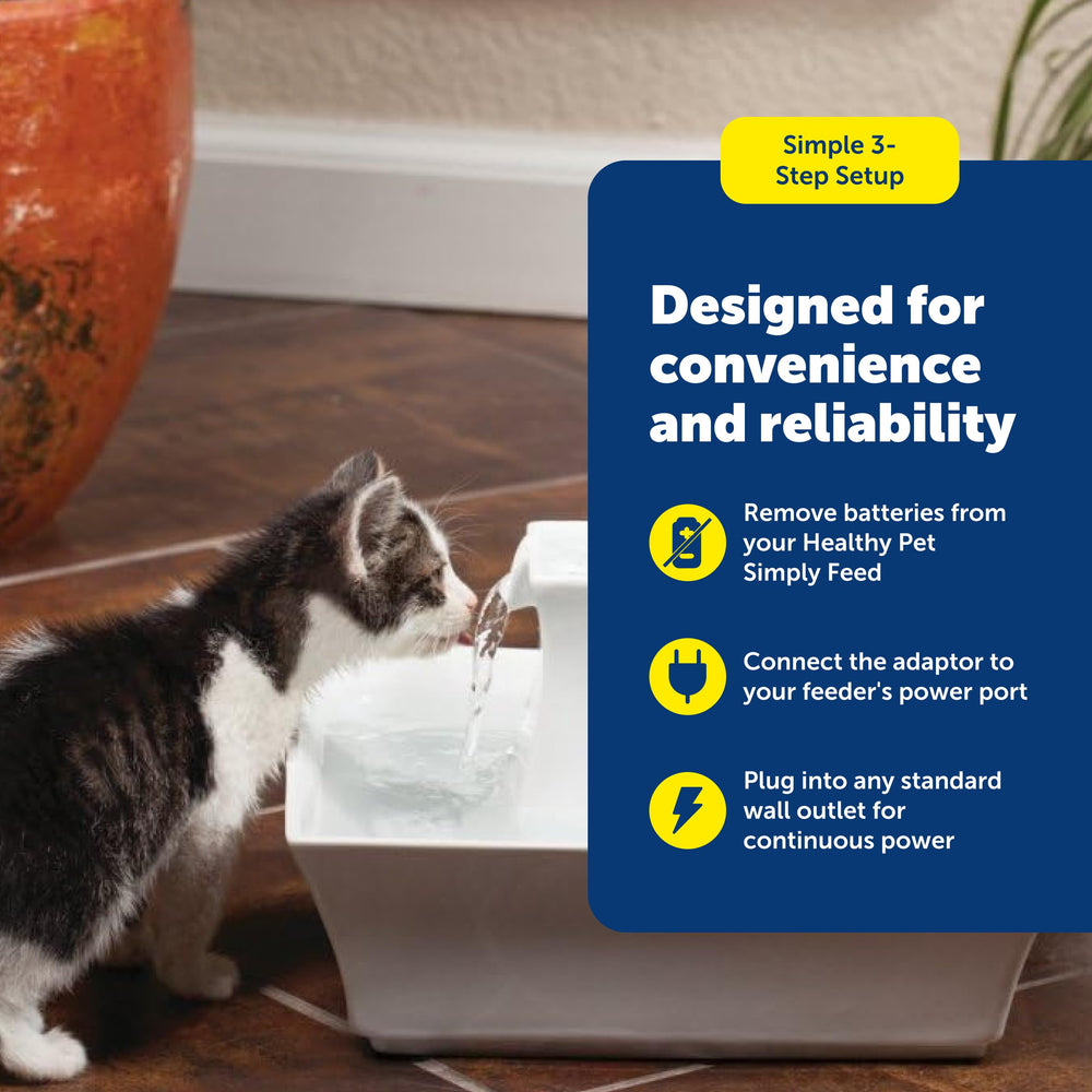 PetSafe pet-proof design keeps paws out between meals