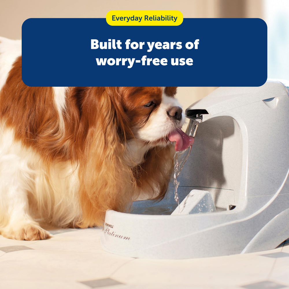 PetSafe US-based support team provides quick guidance
