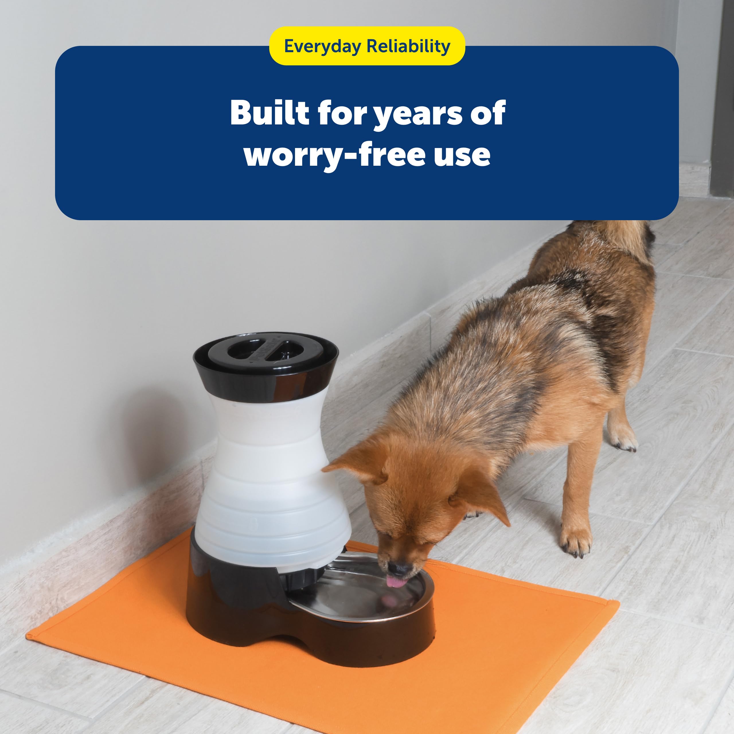 Dishwasher-safe stainless steel bowl from PetSafe water station
