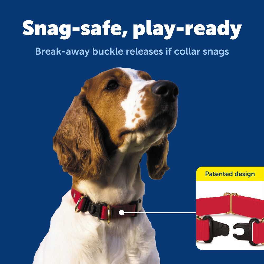 Adjustable nylon strap on PetSafe KeepSafe for secure fit.
