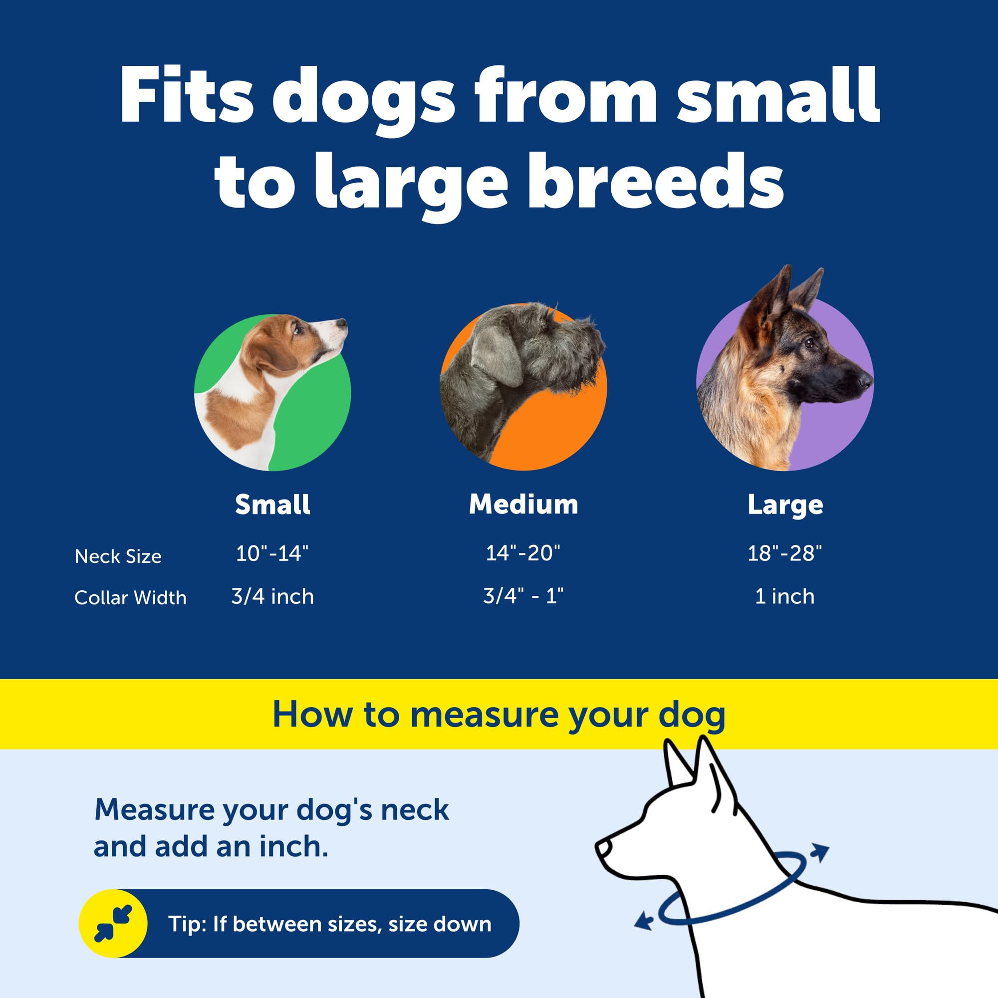 PetSafe KeepSafe Break-Away Collar fade-resistant print design in use
