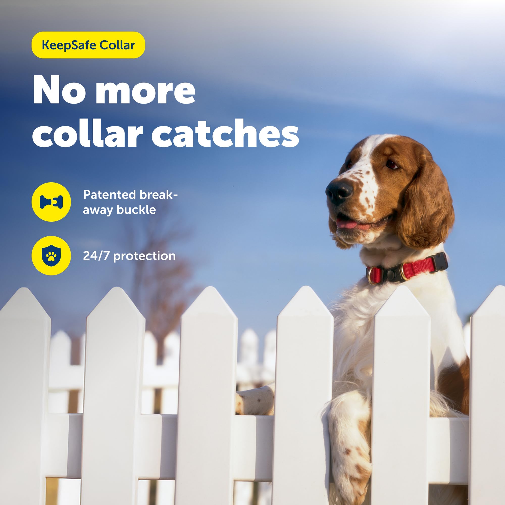 Petsafe KeepSafe Break-Away Collar shown on a large dog with adjustable-fit for secure all-day wear.