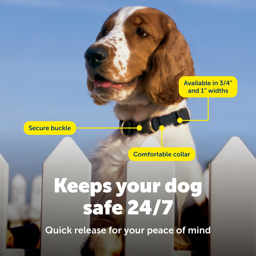 PetSafe KeepSafe Break-Away Collar nylon texture emphasizing breathability