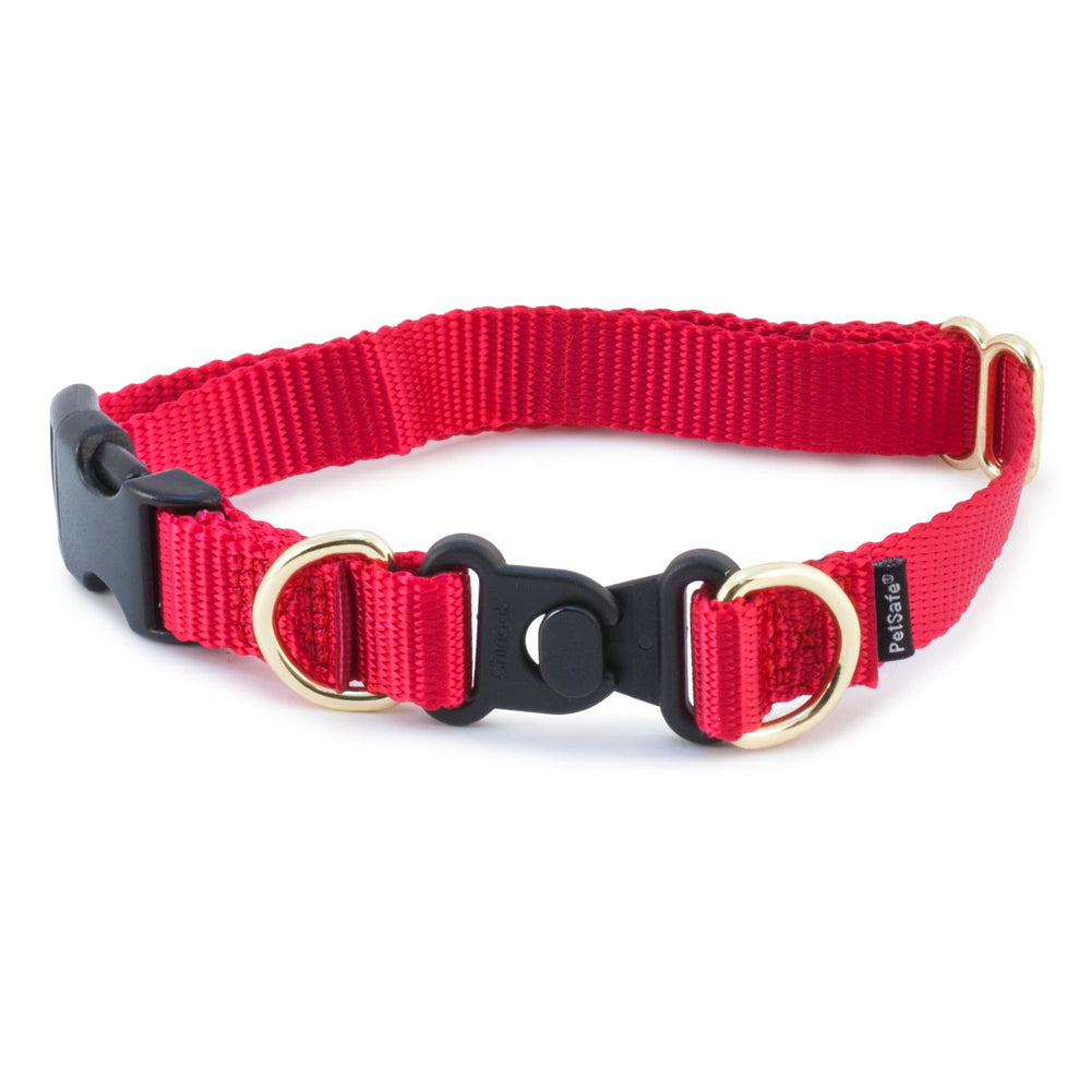 PetSafe KeepSafe Break-Away Collar with wide red buckle safeguards dogs during rough play.