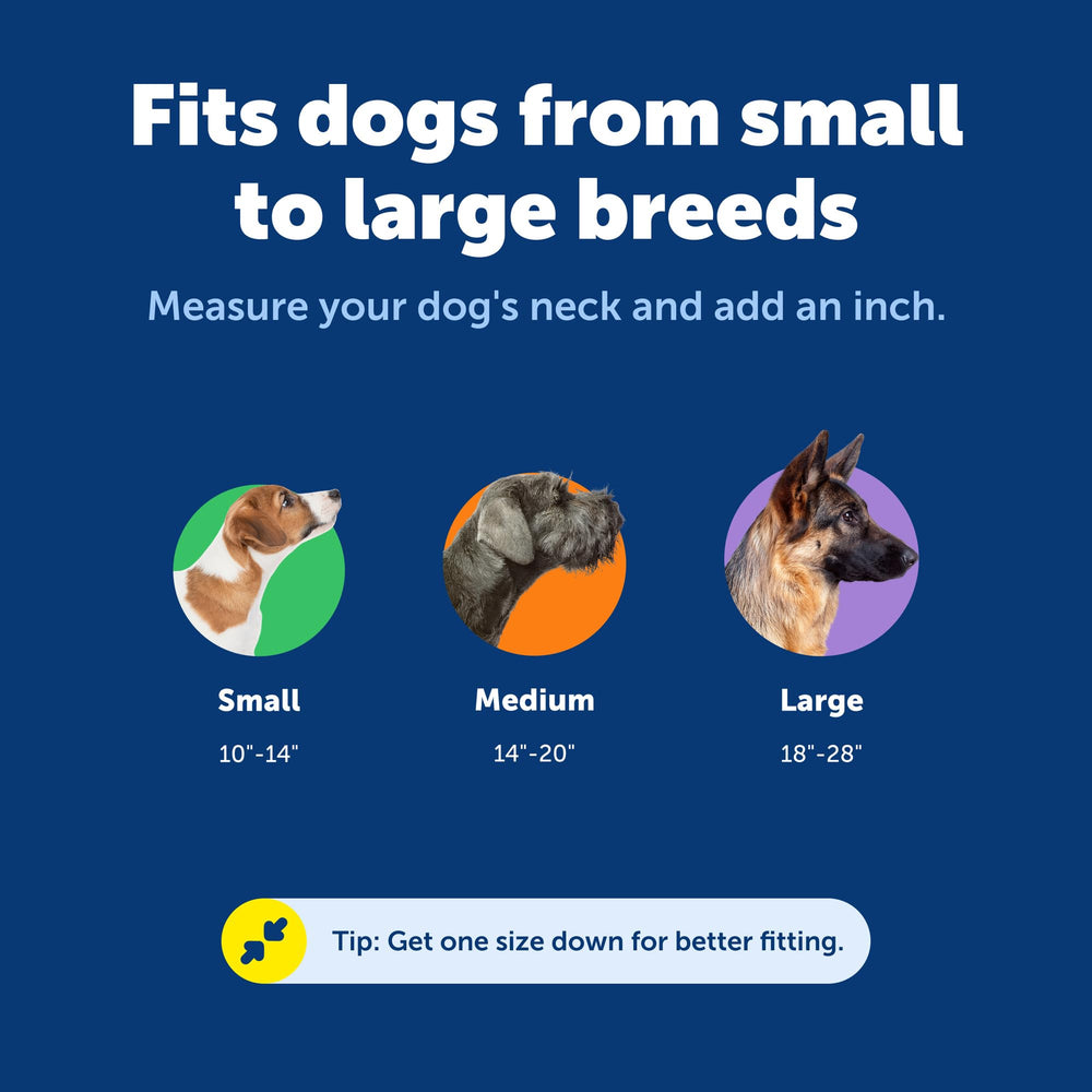 PetSafe KeepSafe breathable nylon keeps dogs comfortable during long play sessions