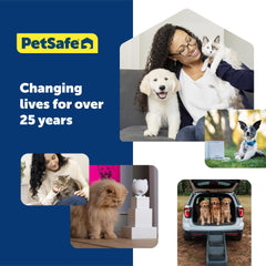 PetSafe KeepSafe collar with dual D-rings ready for leash use.