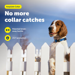 PetSafe KeepSafe royal blue collar promotes all-day comfort and safety for active dogs