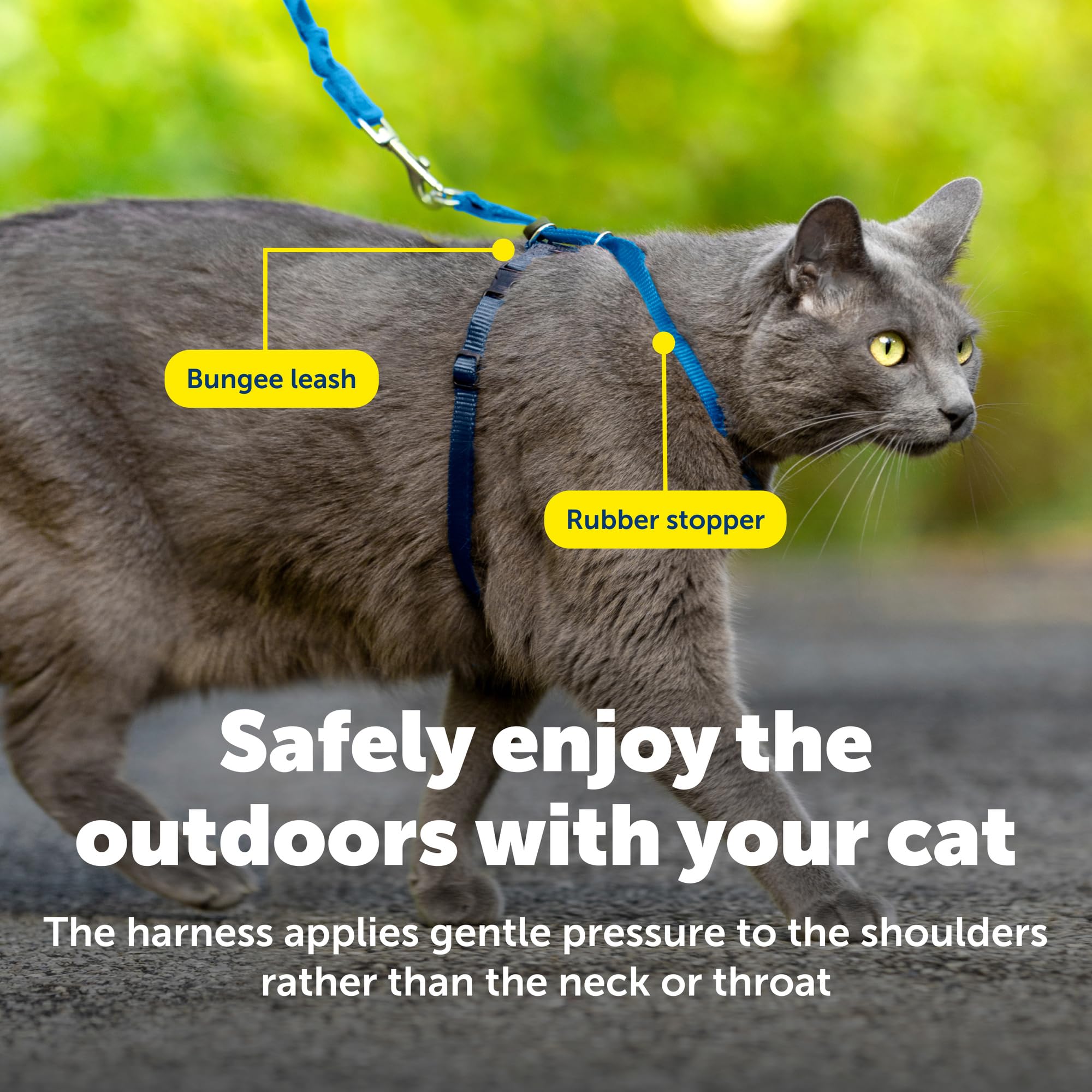 PetSafe medium-size harness on a cat shows proper fit.