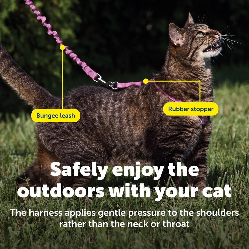 PetSafe kitty harness with two adjustment points for a customizable fit