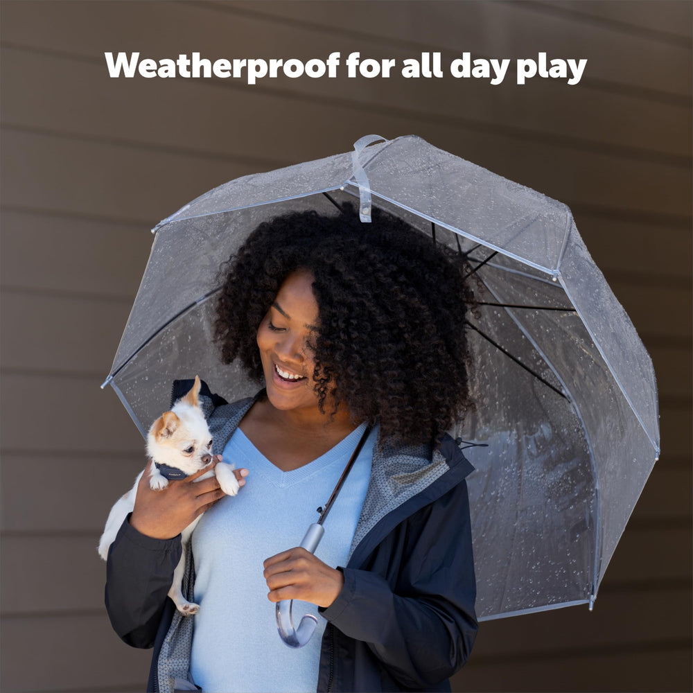 PetSafe NanoBark 2.0 with 10 auto-adjusting levels for training.