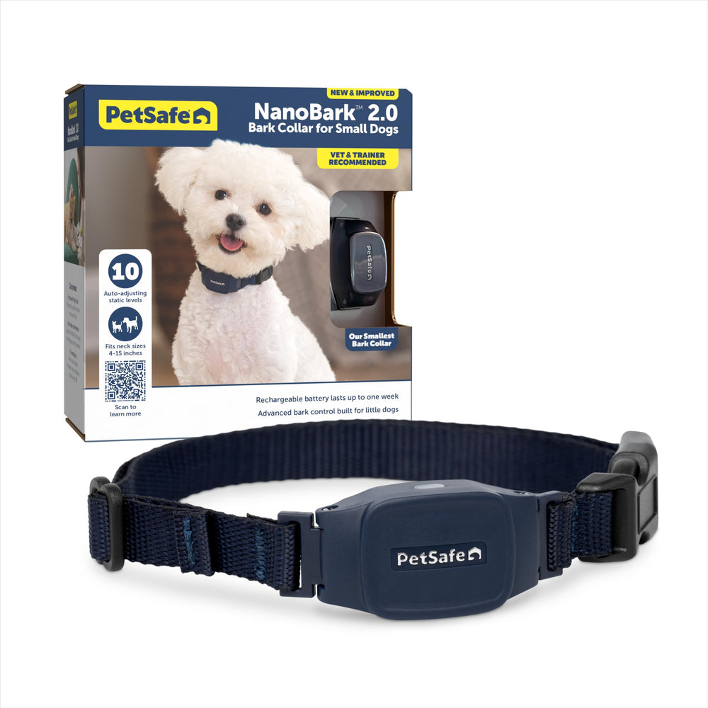 PetSafe NanoBark 2.0 collar on a small dog, compact fit for tiny breeds.