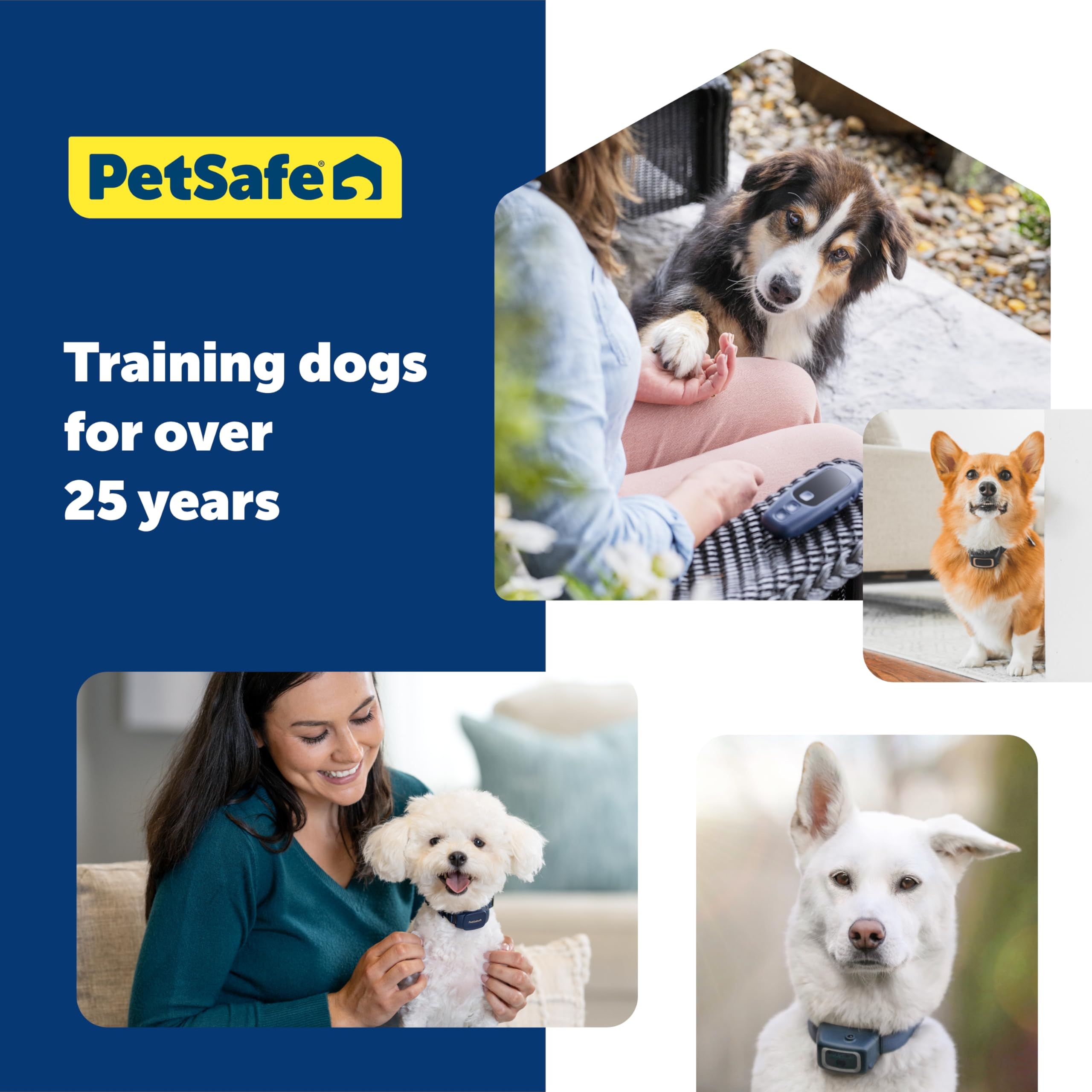 PetSafe NanoBark 2.0 used at home for nuisance bark management.