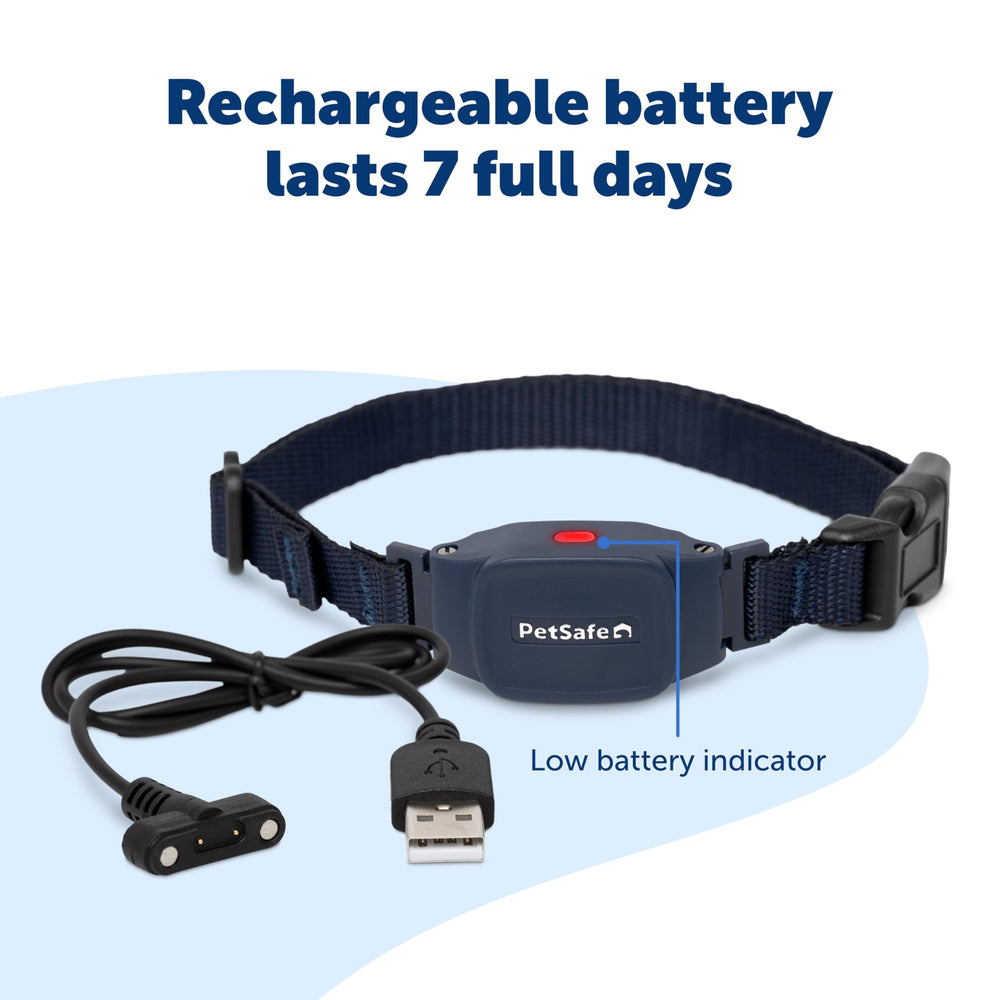 PetSafe NanoBark 2.0 slim profile on a small dog.