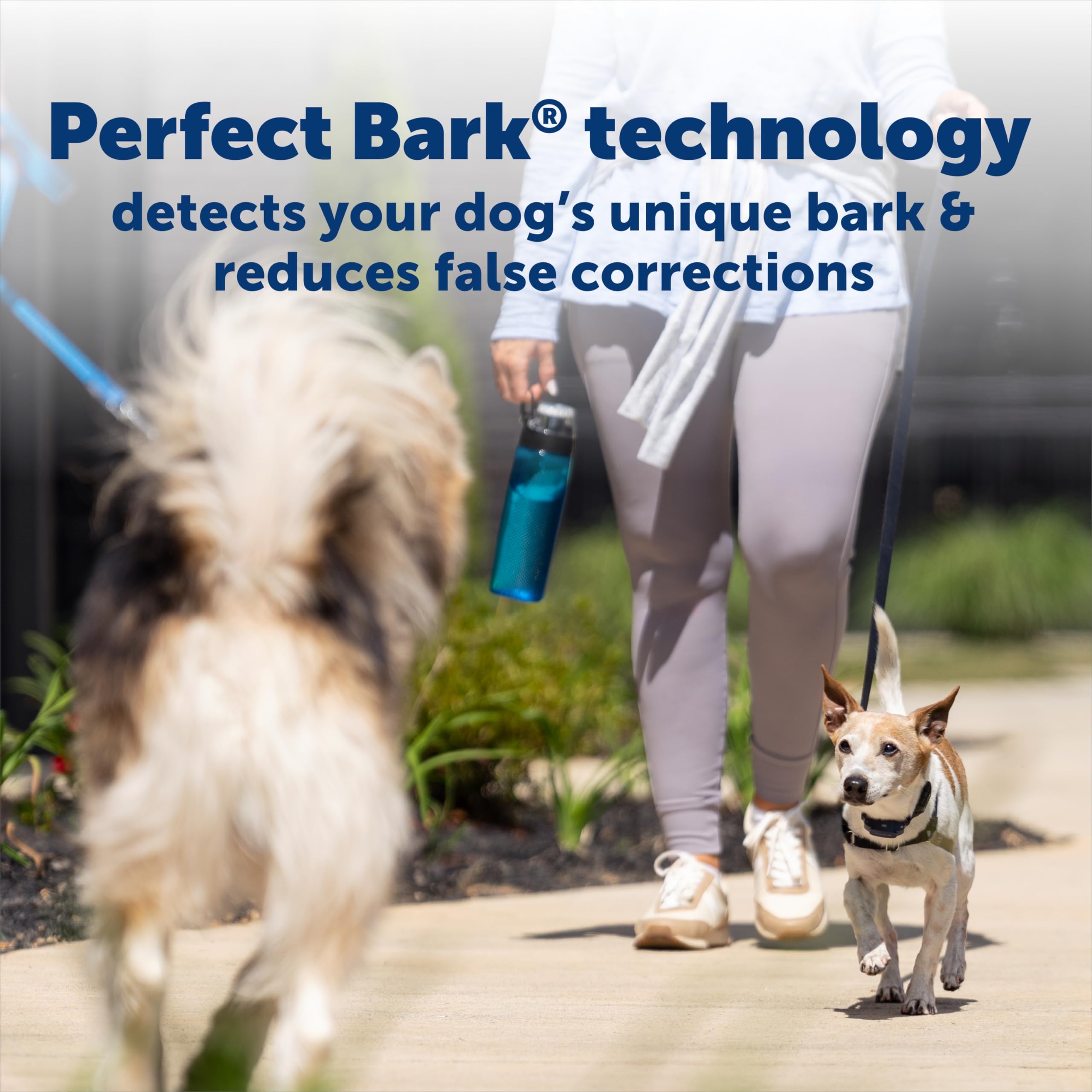 PetSafe NanoBark 2.0 demonstrates variable pulse adaptive correction.