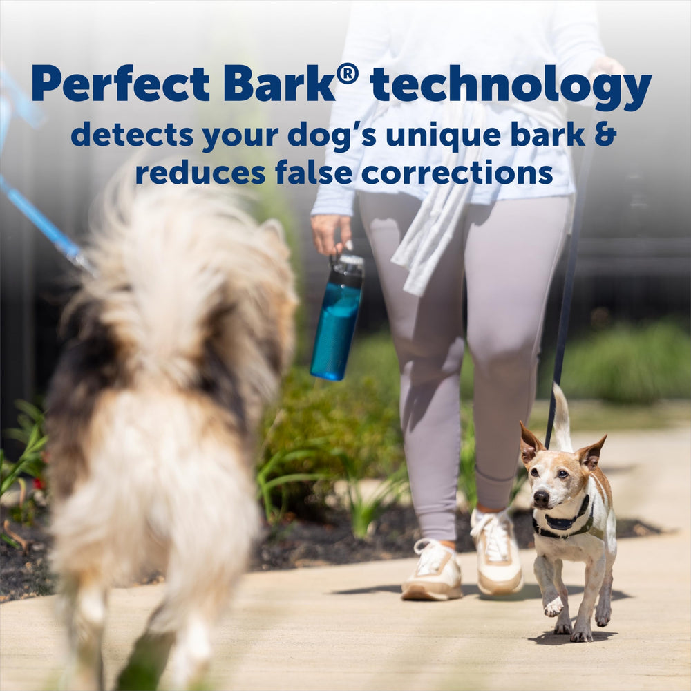 PetSafe NanoBark 2.0 demonstrates variable pulse adaptive correction.