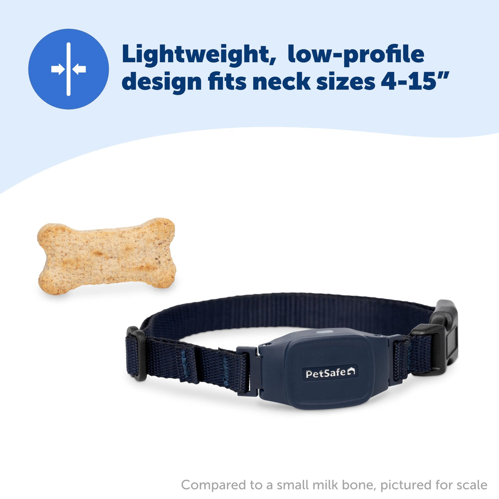 PetSafe NanoBark 2.0 worn outdoors in rain, waterproof design.
