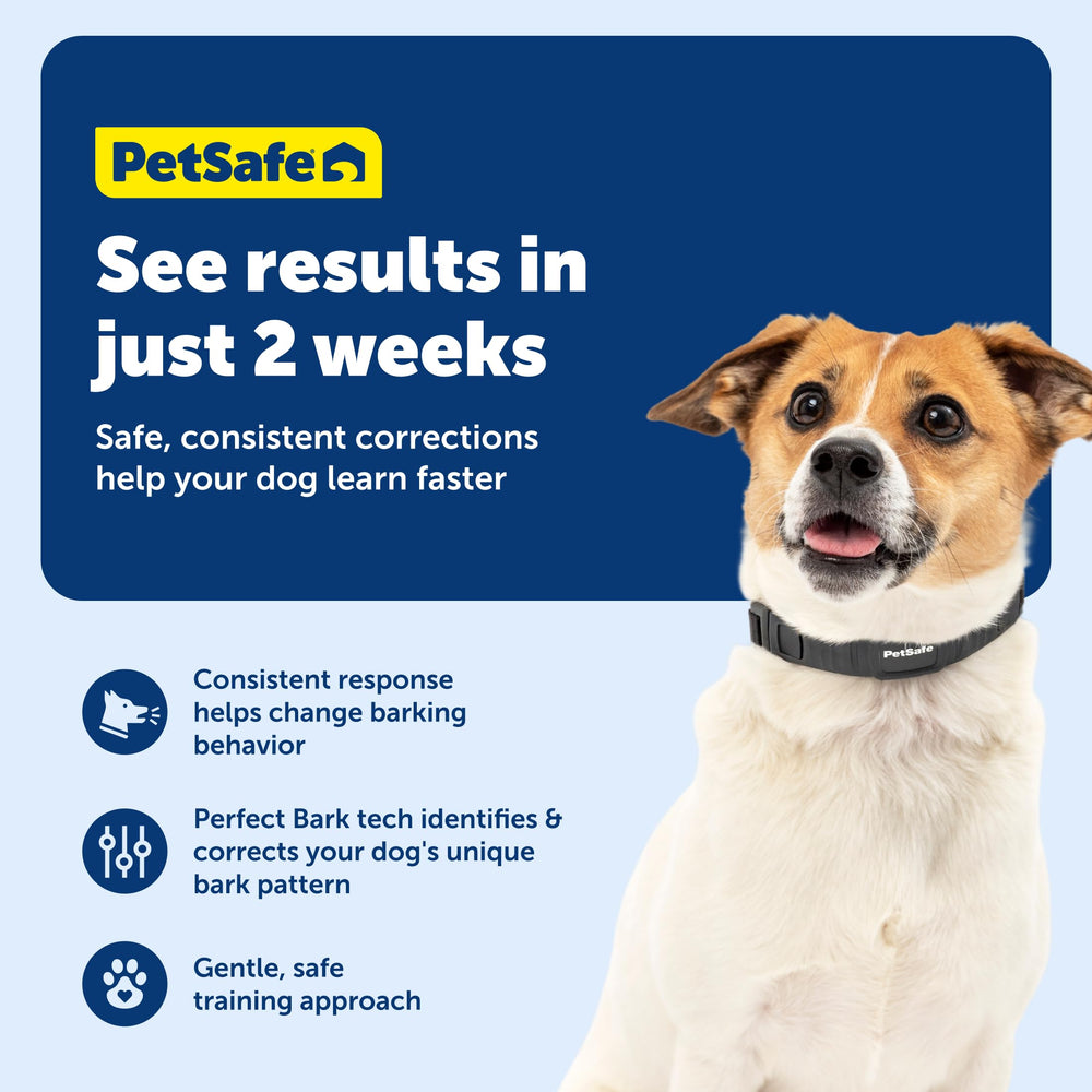 PetSafe NanoBark waterproof-design image shows weatherproof capability for rain or shine.