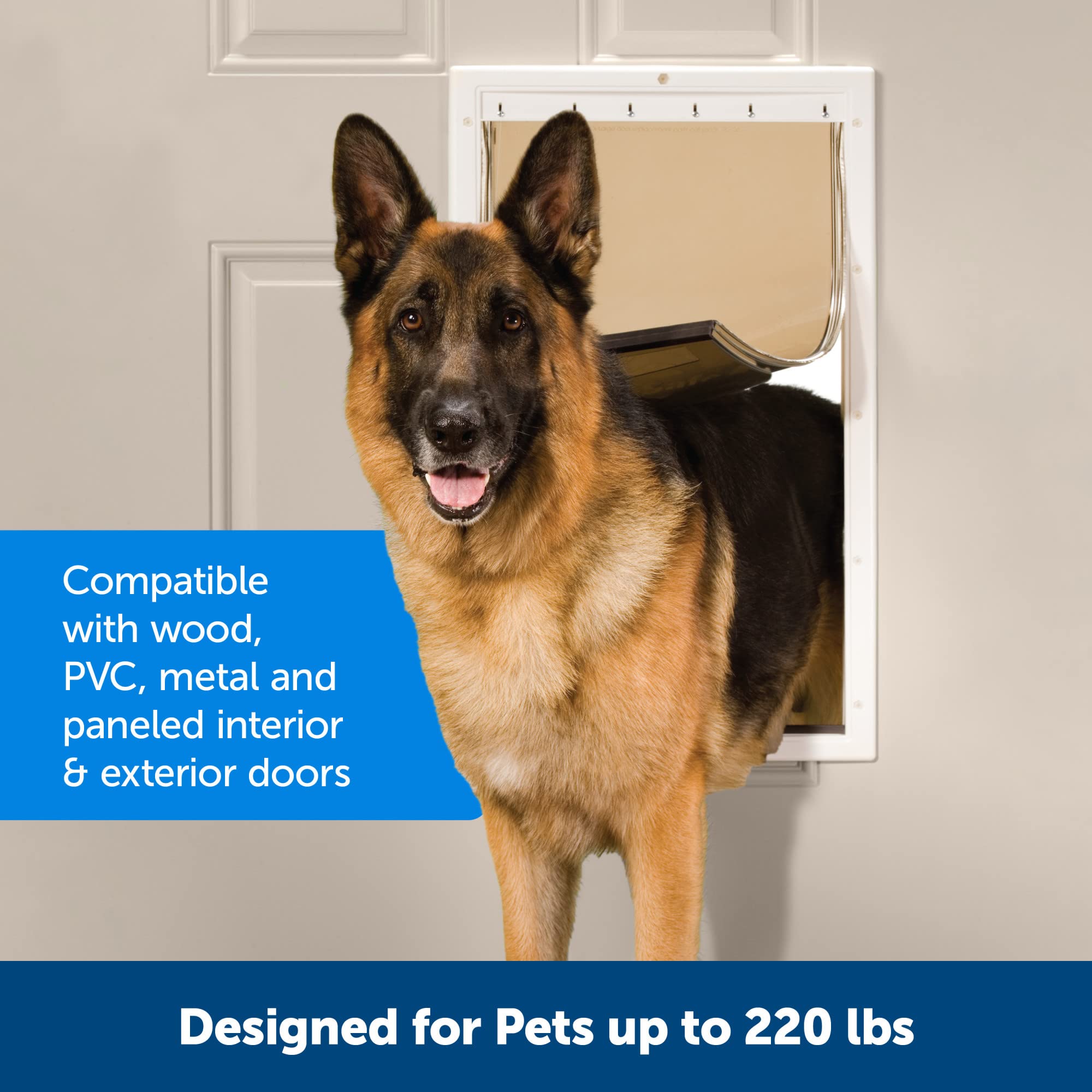 PetSafe Never Rust plastic door paintable frame blends with any décor.