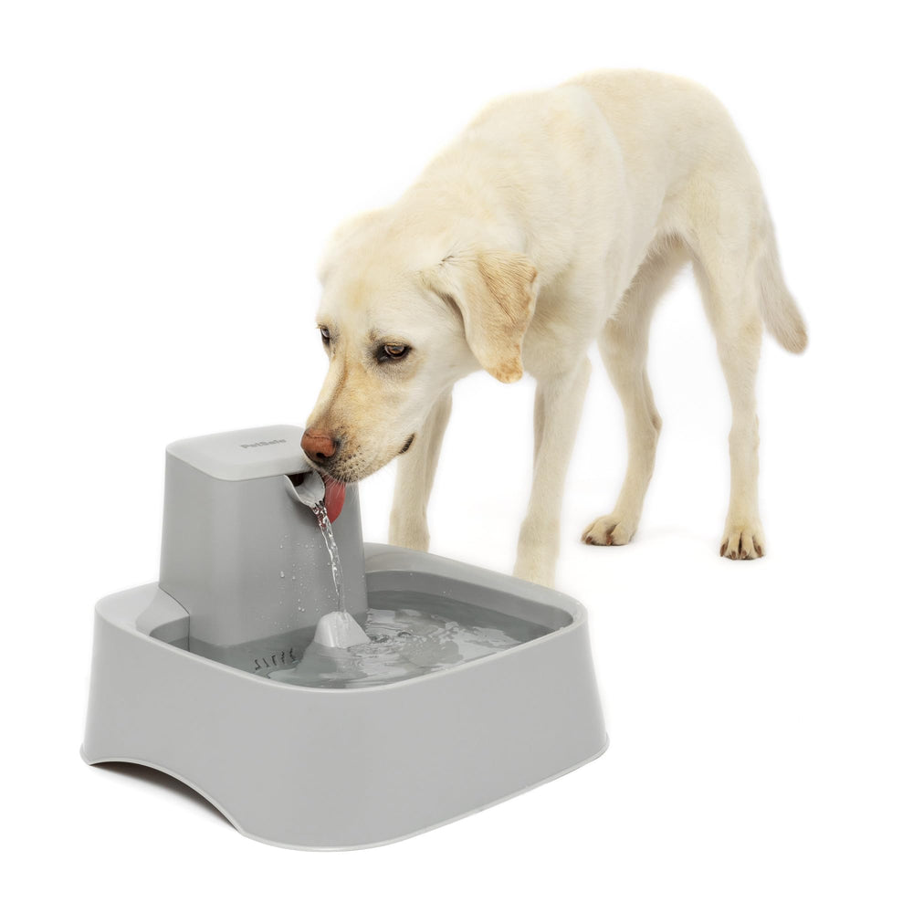 PetSafe Oasys 2-gallon fountain with adjustable flow control for customized hydration.