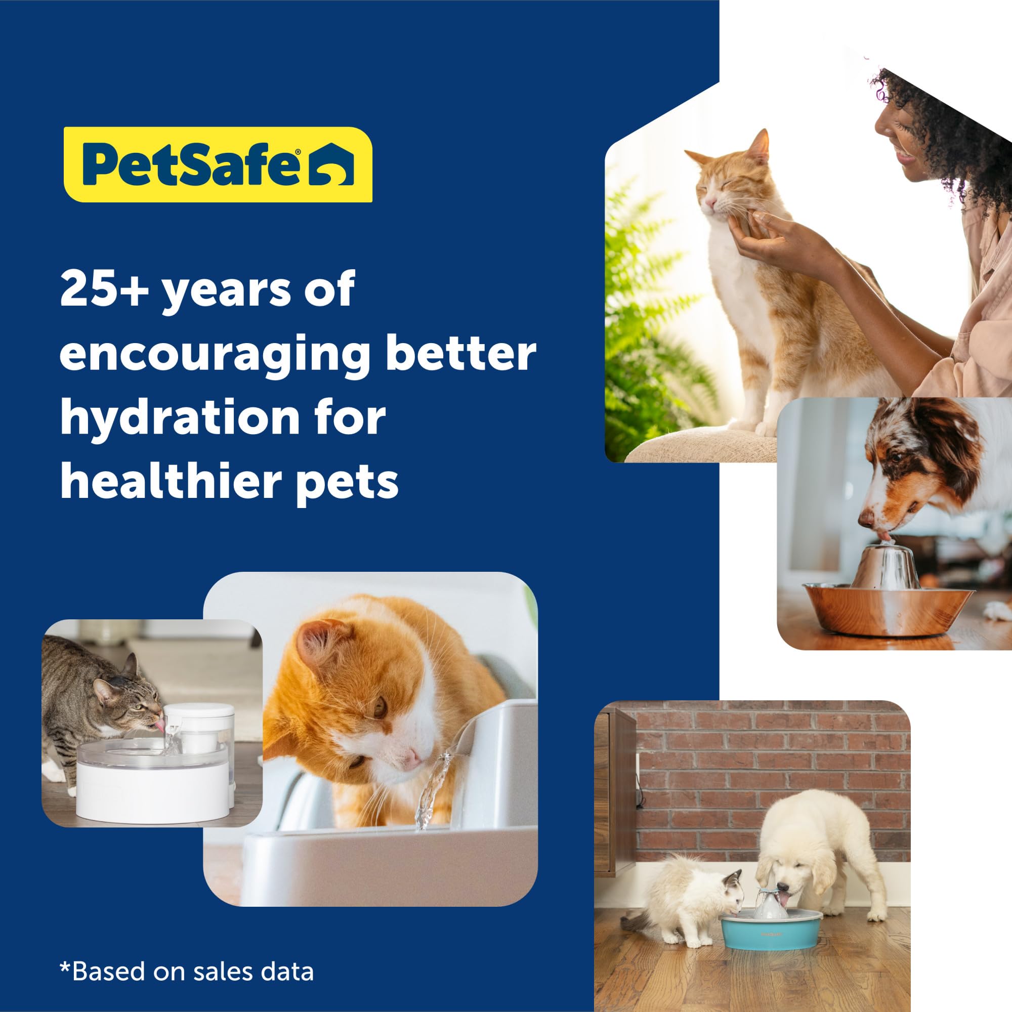 PetSafe Oasys easy-clean design reduces hard-to-reach spots for maintenance.