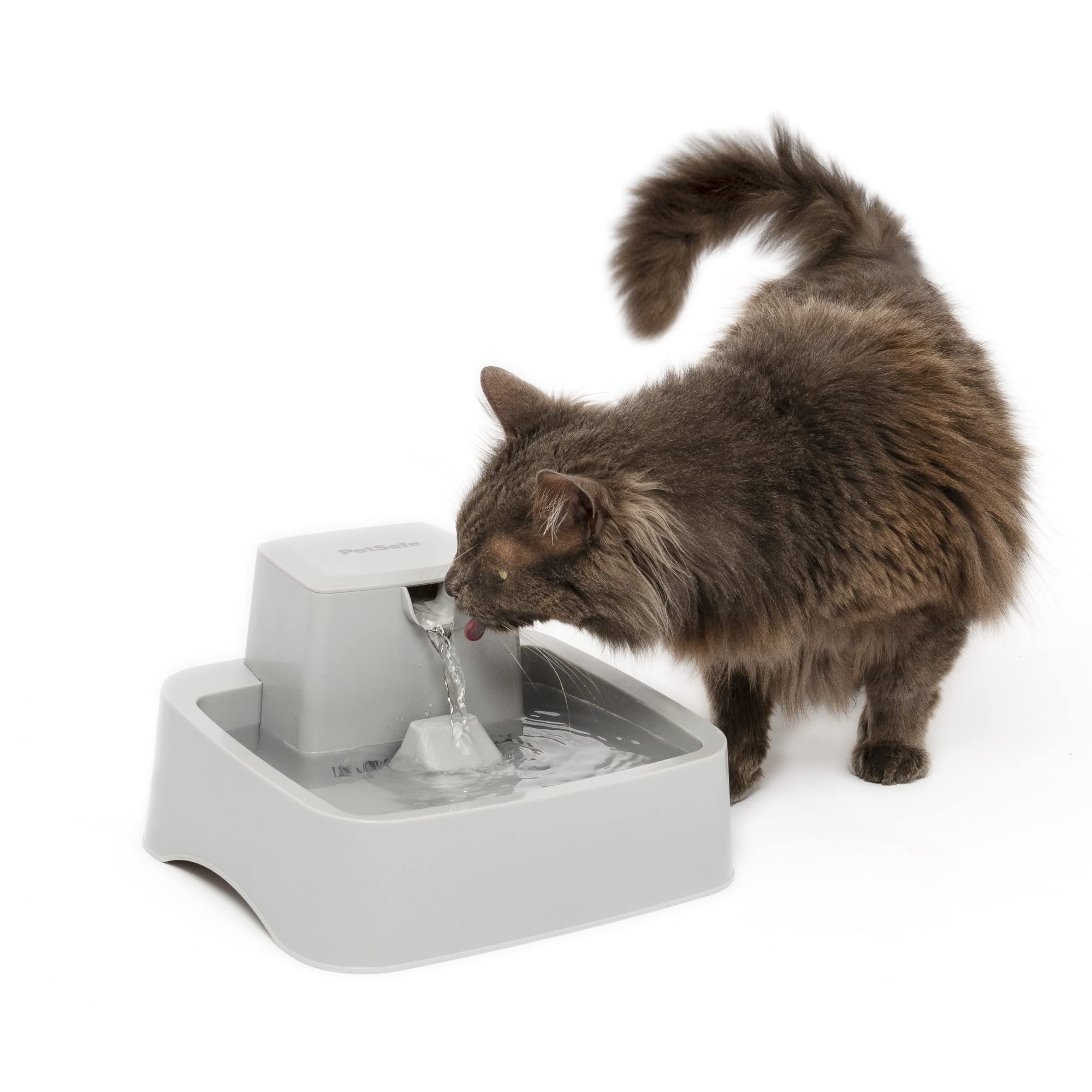 PetSafe Oasys half-gallon fountain with adjustable water flow for easier drinking