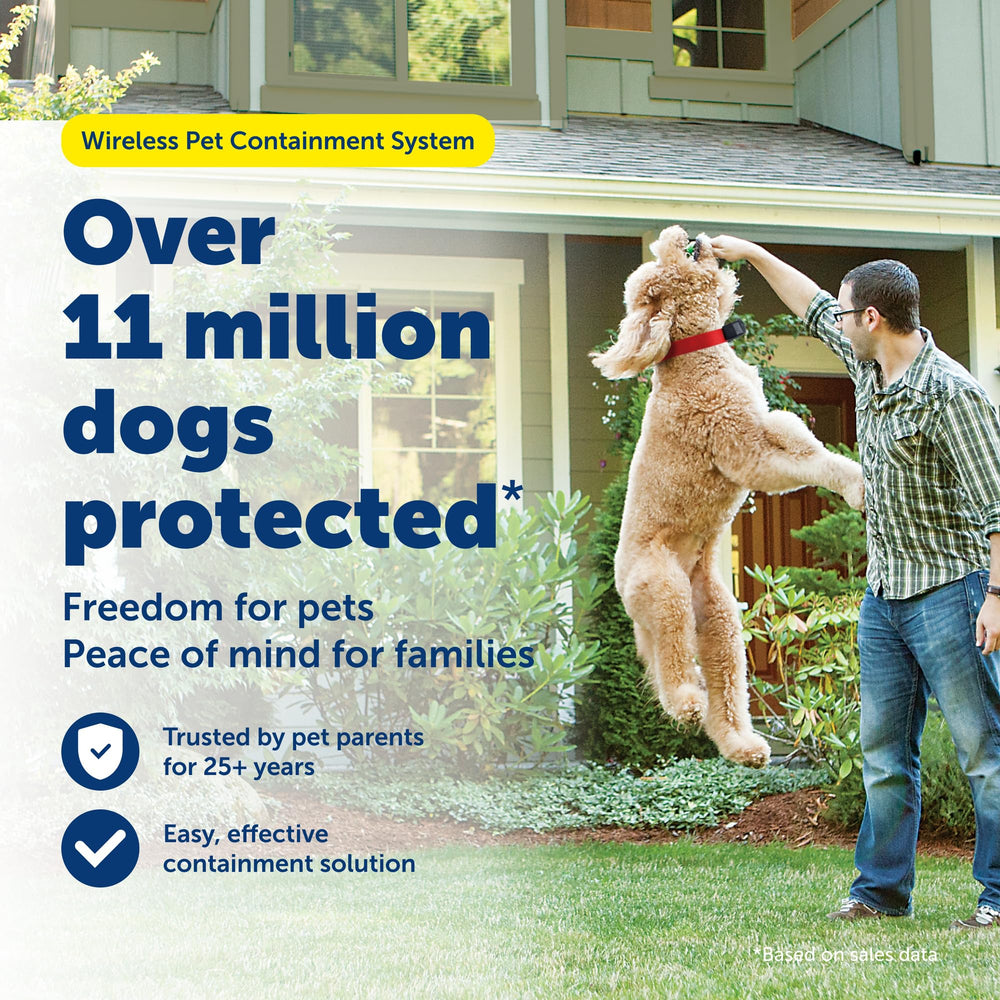 PetSafe Original Wireless Fence collar worn by dog for waterproof daily wear