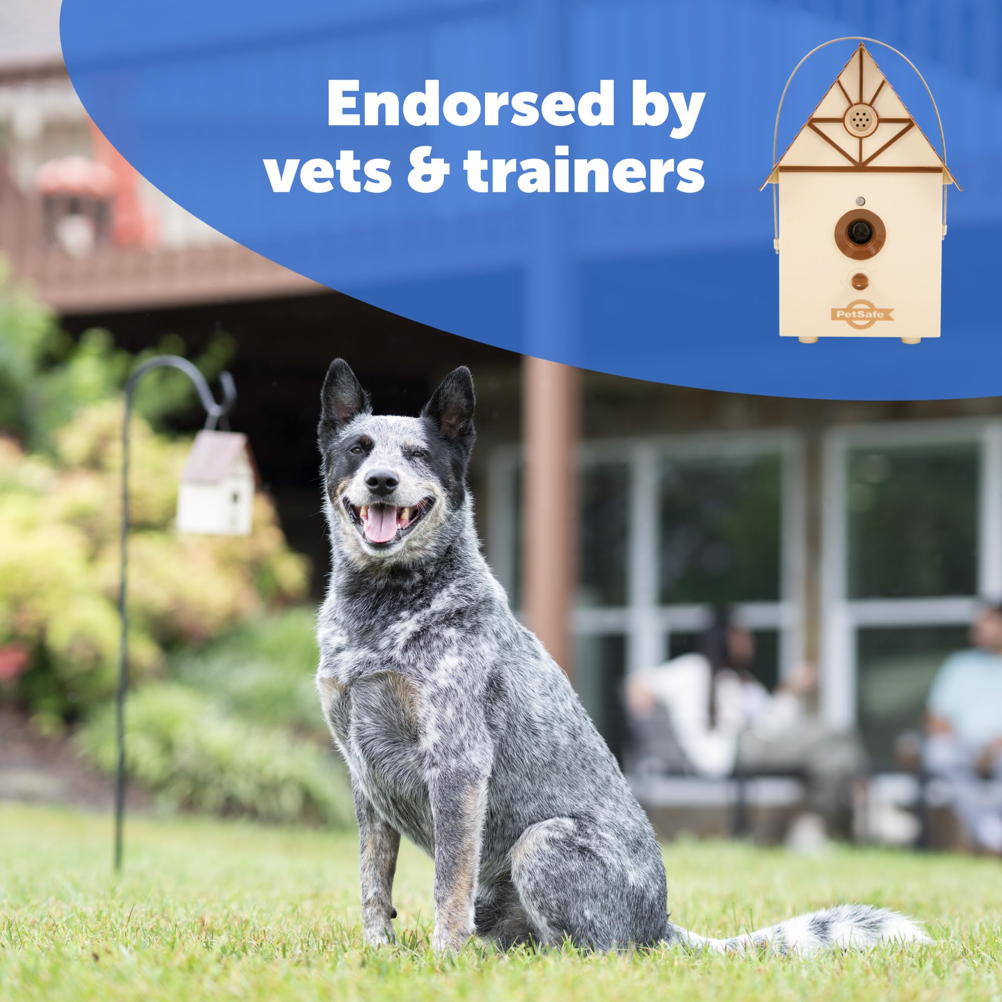 PetSafe Outdoor Bark Control mounted in a tree provides discreet bark deterrence.