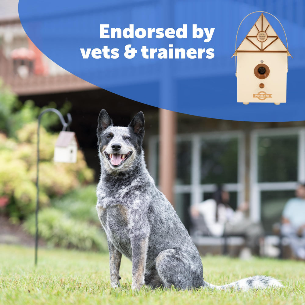 PetSafe Outdoor Bark Control mounted in a tree provides discreet bark deterrence.