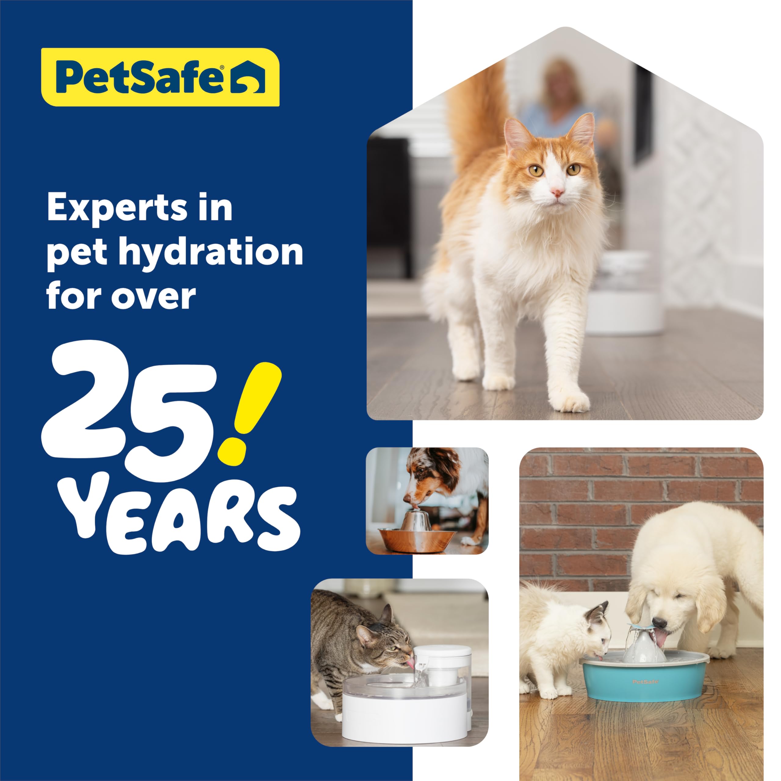 PetSafe Outlast dishwasher-safe design simplifies cleaning and maintenance.