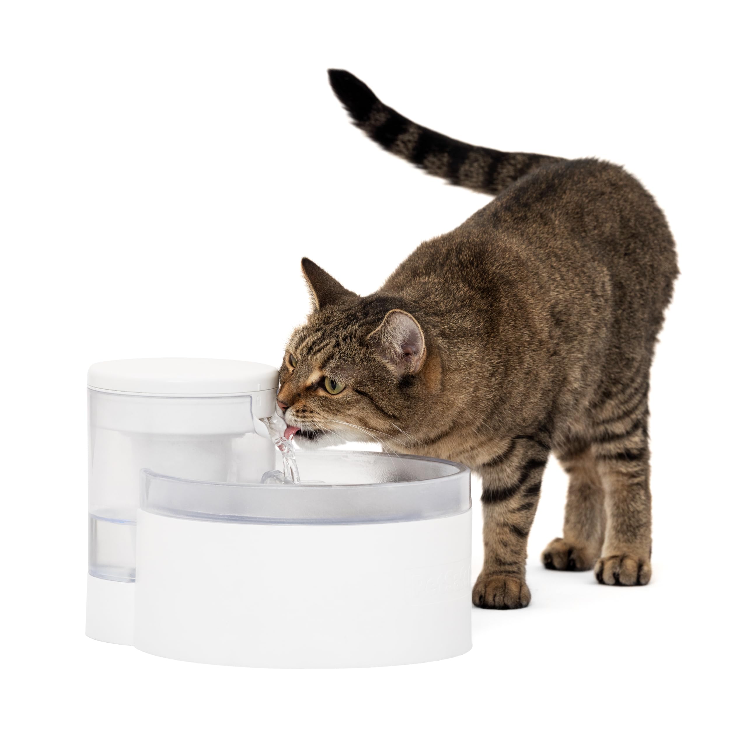 PetSafe Outlast fountain setup shows quick, tool-free assembly for easy hydration.