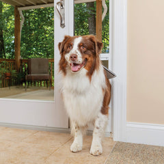 PetSafe patio panel insert fitted into a sliding door track for quick installation.