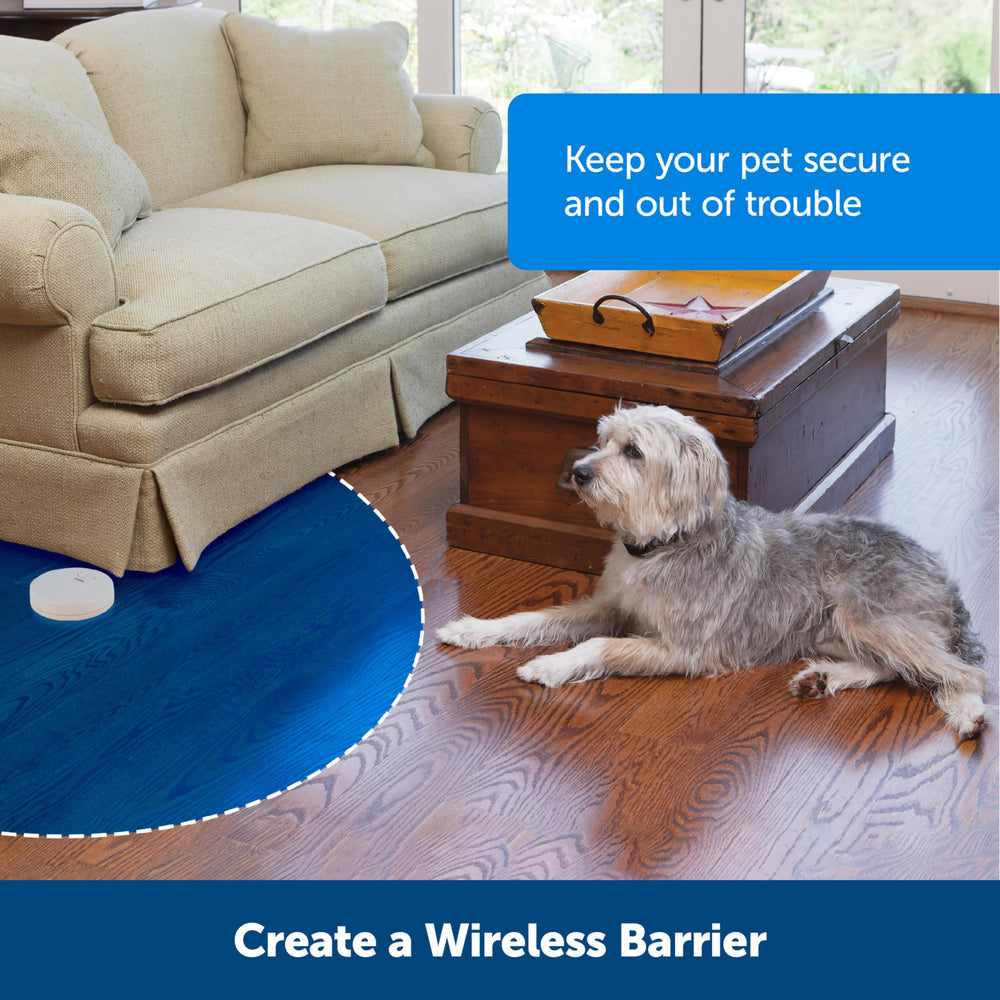 PetSafe Pawz Away 6-foot radial coverage protects furniture and restricted areas.