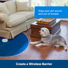 PetSafe Pawz Away 6-foot radial coverage protects furniture and restricted areas.