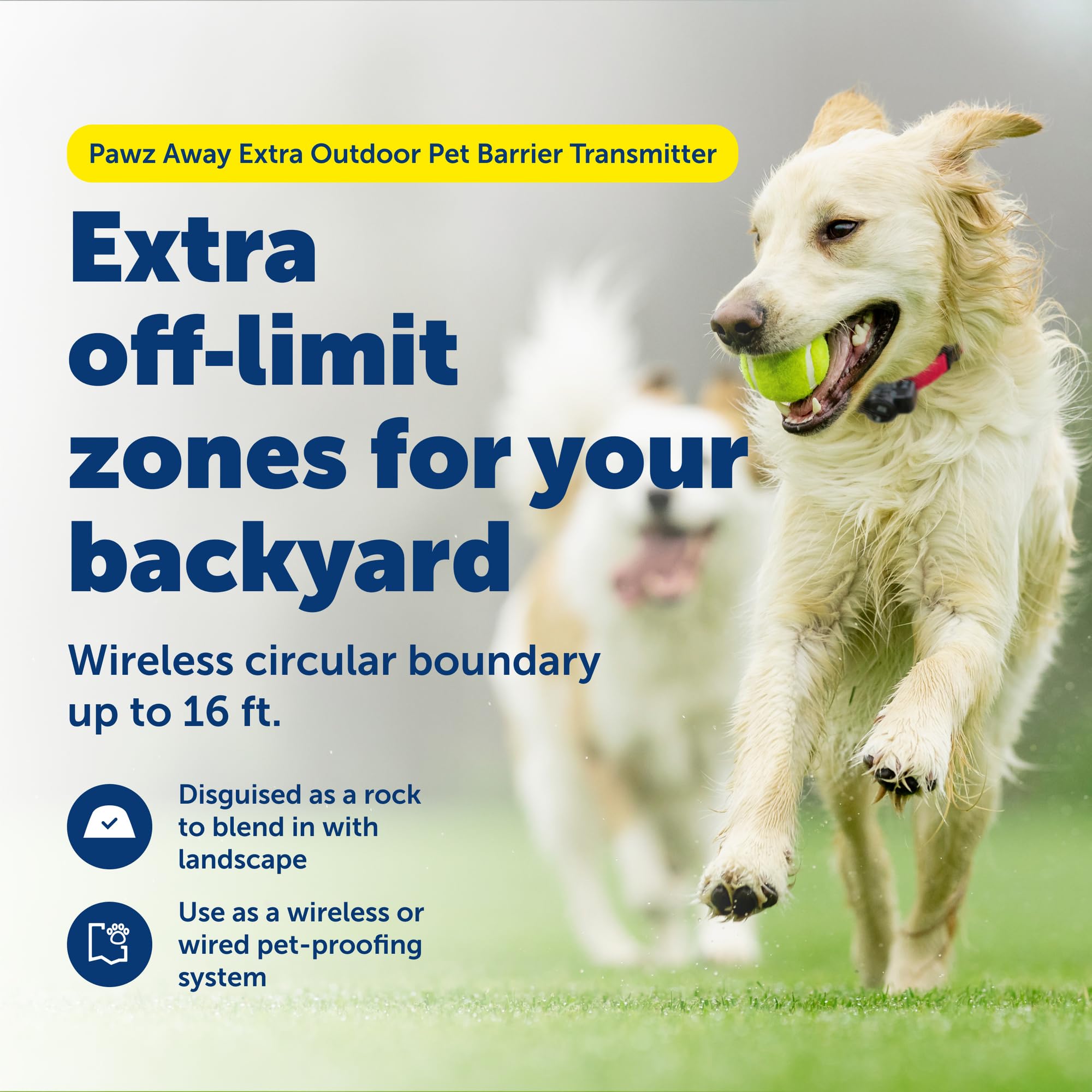 PetSafe Pawz Away boundary wire setup demonstrates wireless or wired options.