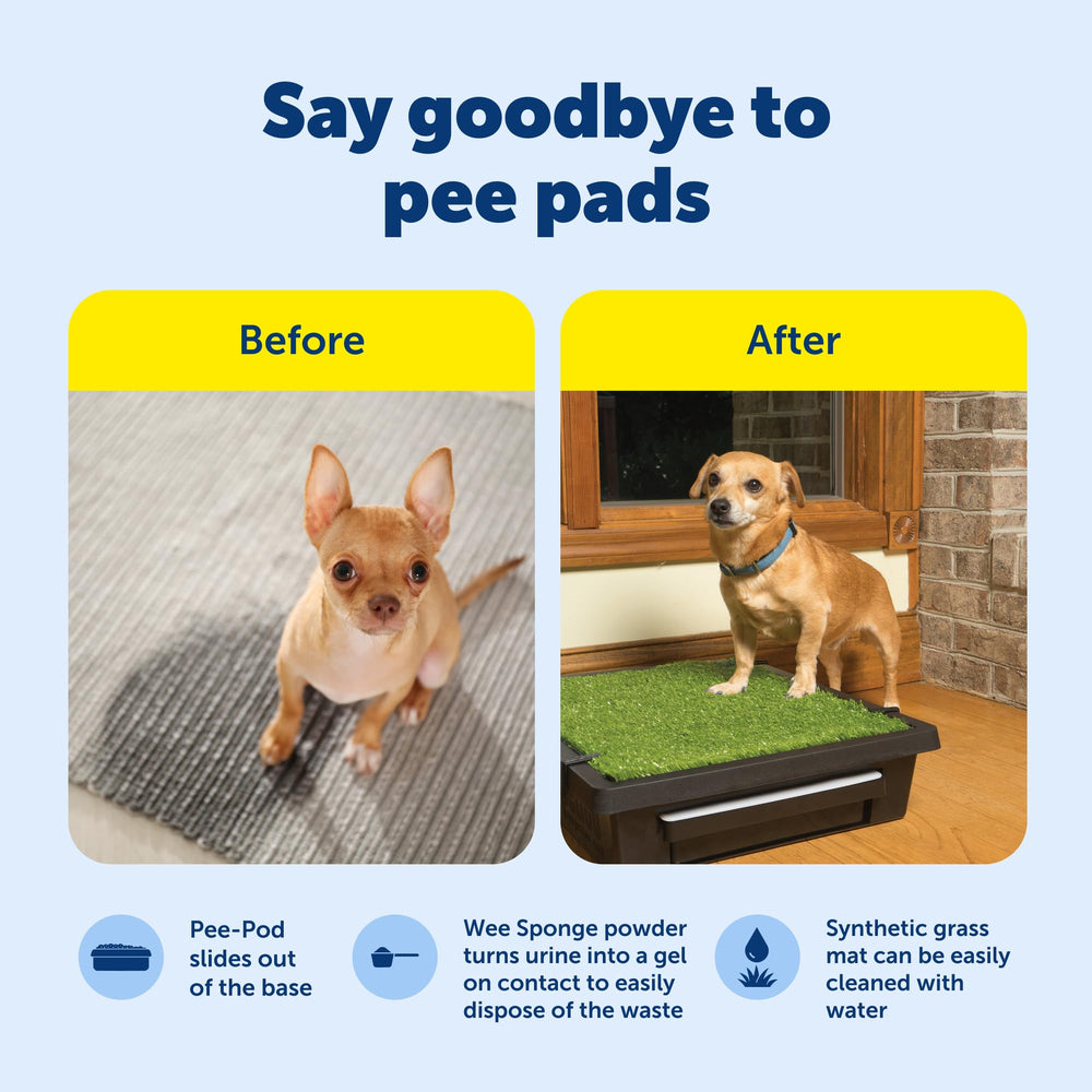 PetSafe Pee-Pod removable base simplifies waste disposal after use.