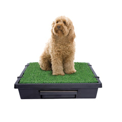PetSafe Pet Loo assembly shows simple setup for busy households.