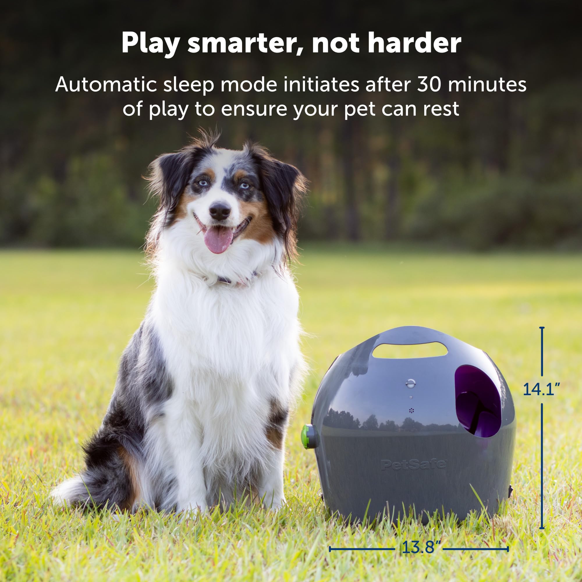PetSafe power options include AC adaptor or 6 D-cell batteries for flexible use.