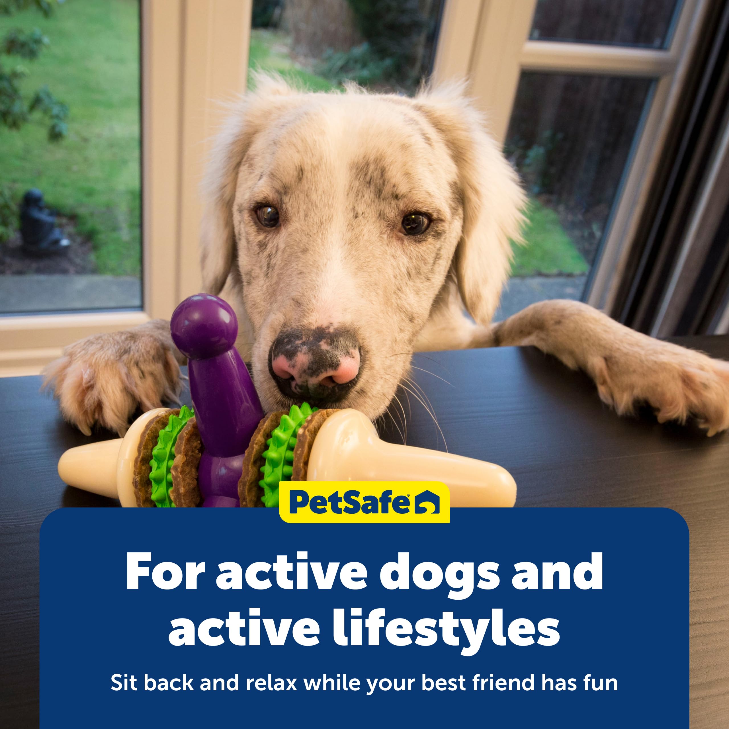 PetSafe Premier Busy Buddy Jack dishwasher safe for easy cleaning
